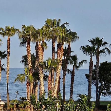 Mondrian Magic World - Sea View First Line Of The Beach โอโรเปซาเดลมาร์ ภายนอก รูปภาพ