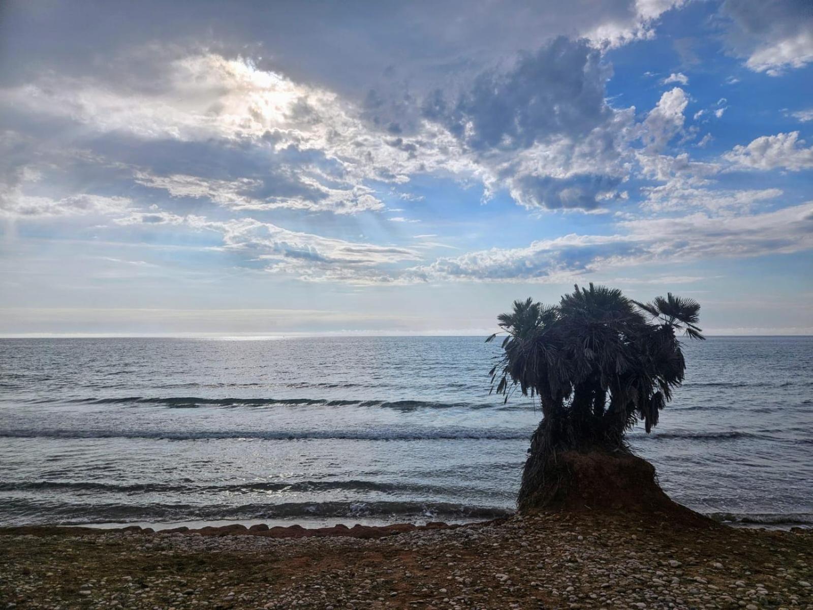 Mondrian Magic World - Sea View First Line Of The Beach โอโรเปซาเดลมาร์ ภายนอก รูปภาพ